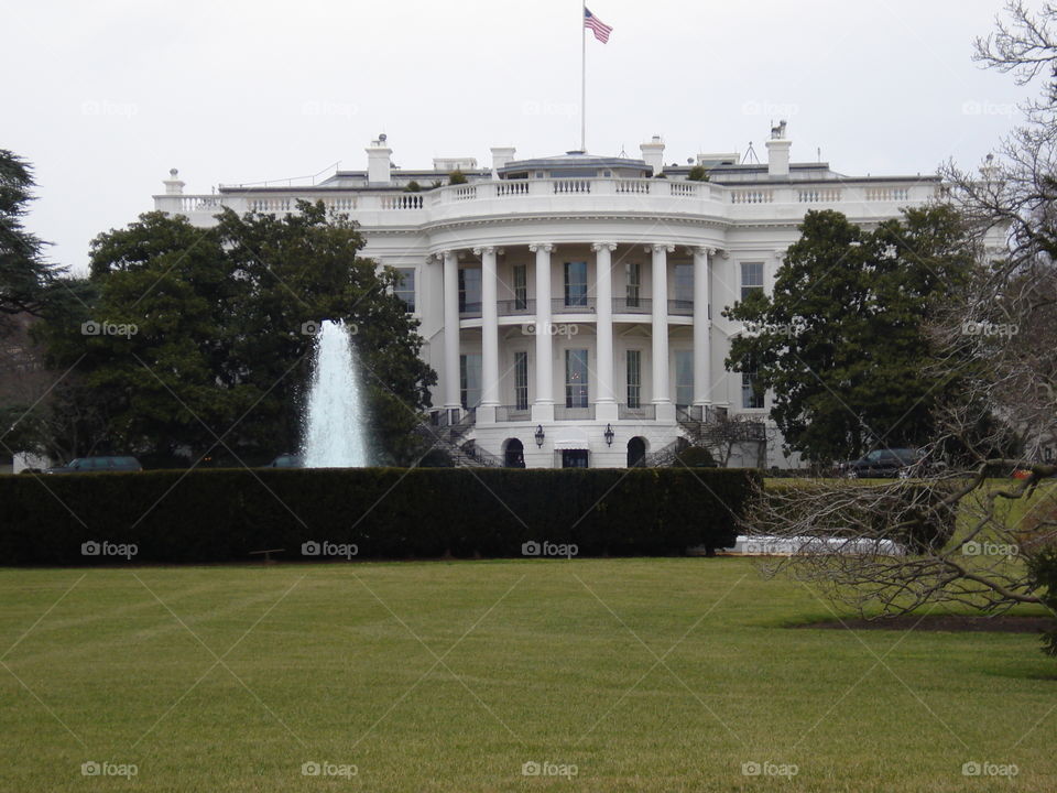 The White house