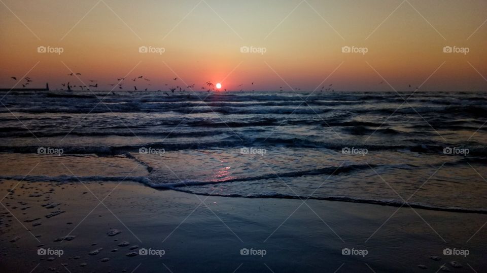 Sunset, Water, Beach, Sea, Ocean