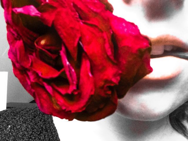 Romance and Roses