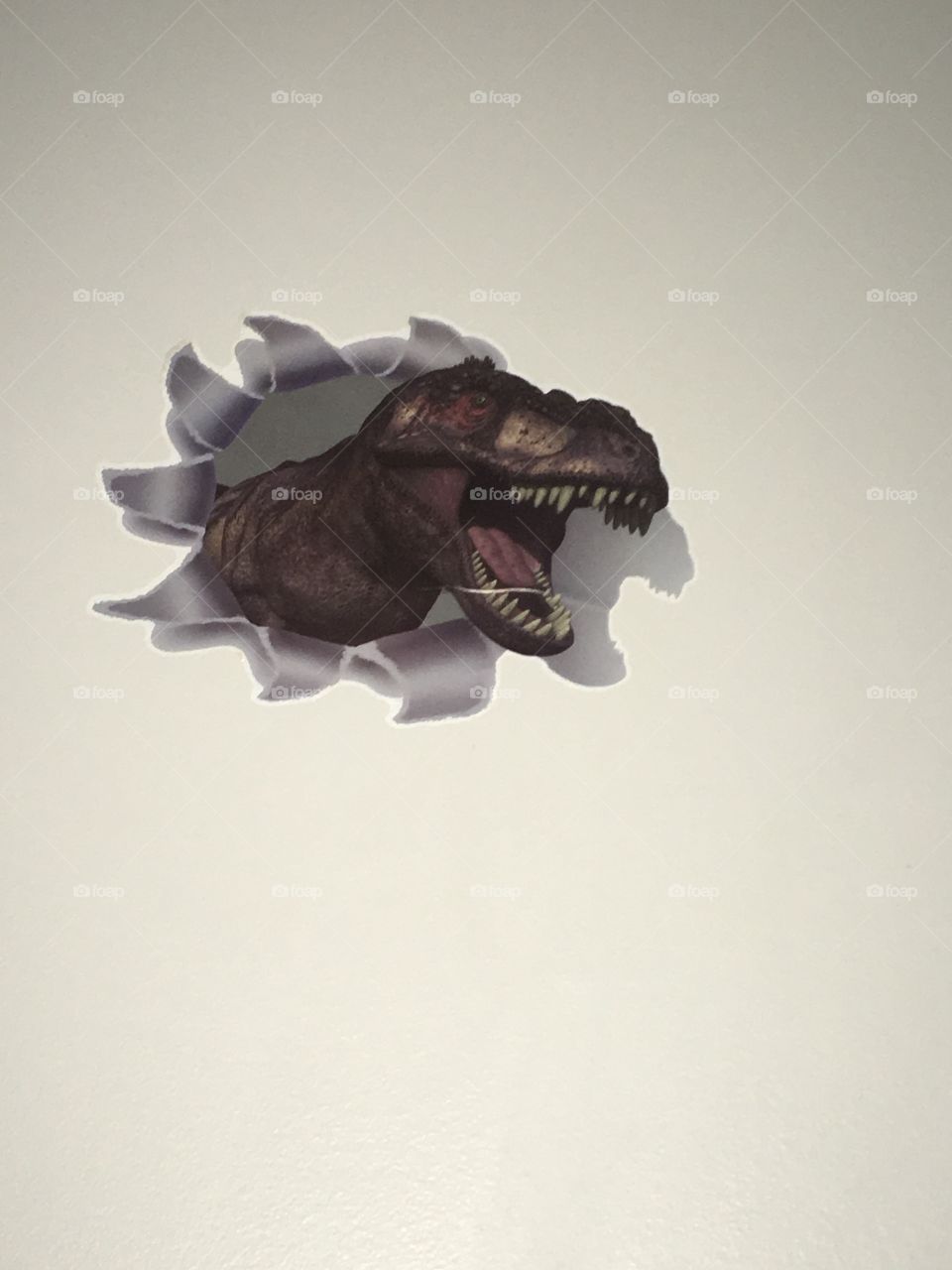 Dinosaur wall decal 