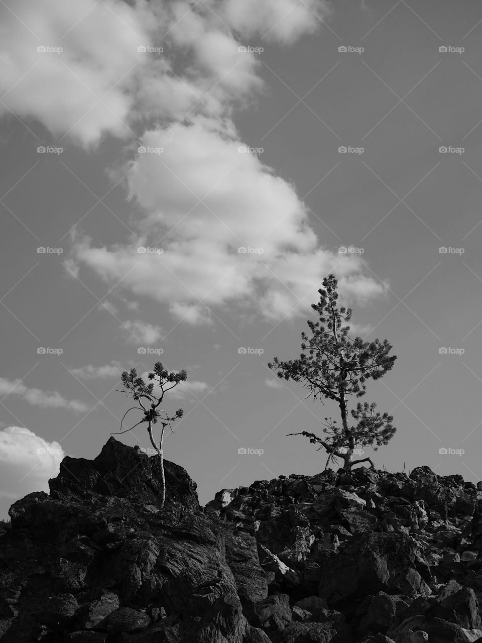 Rugged terrain of the Big Obsidian Flow 