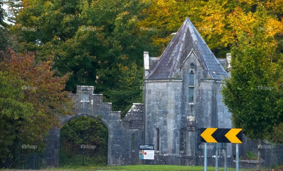 Near Adare in Ireland