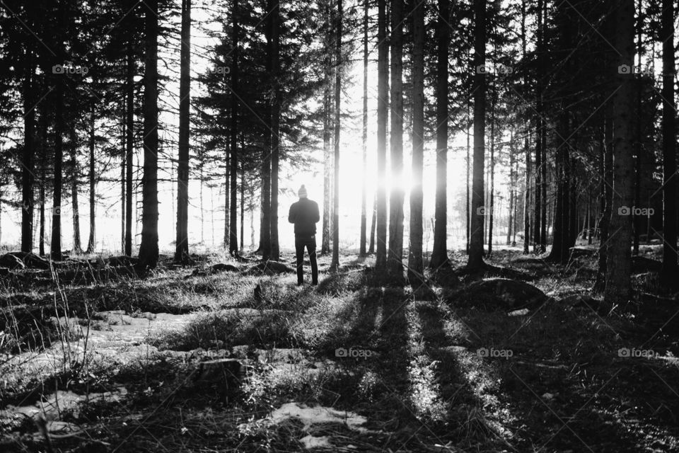 Rear view of a person standing in forest