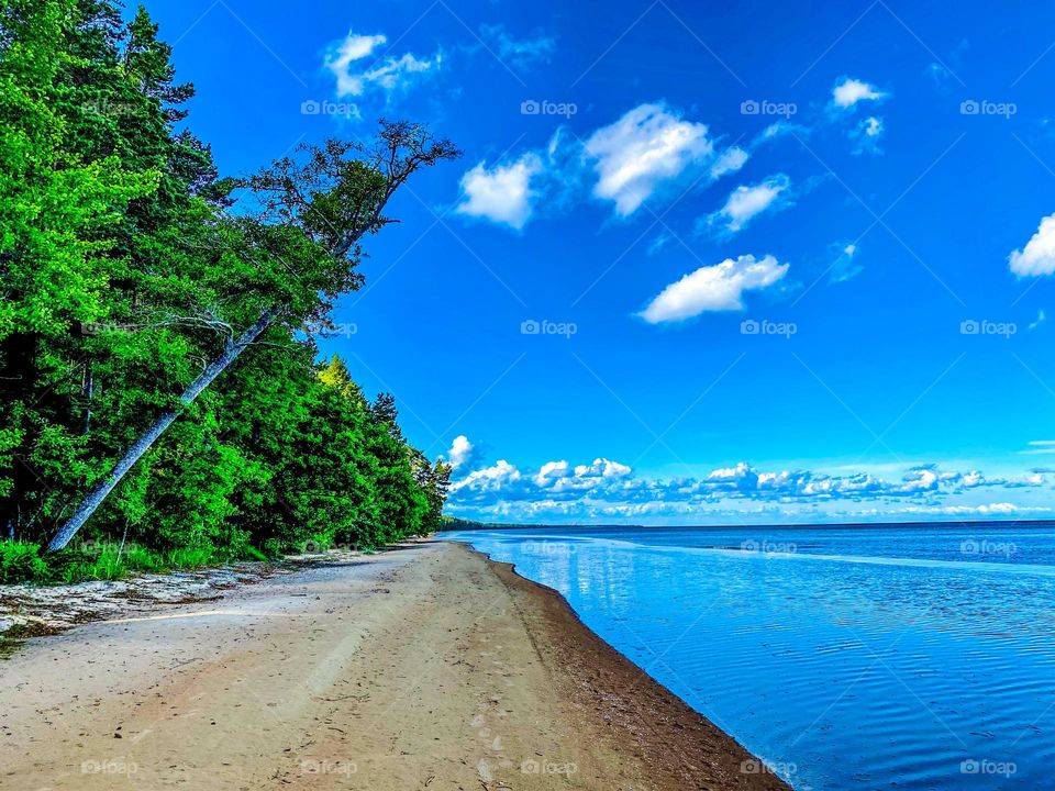 Beach walk in Latvia 