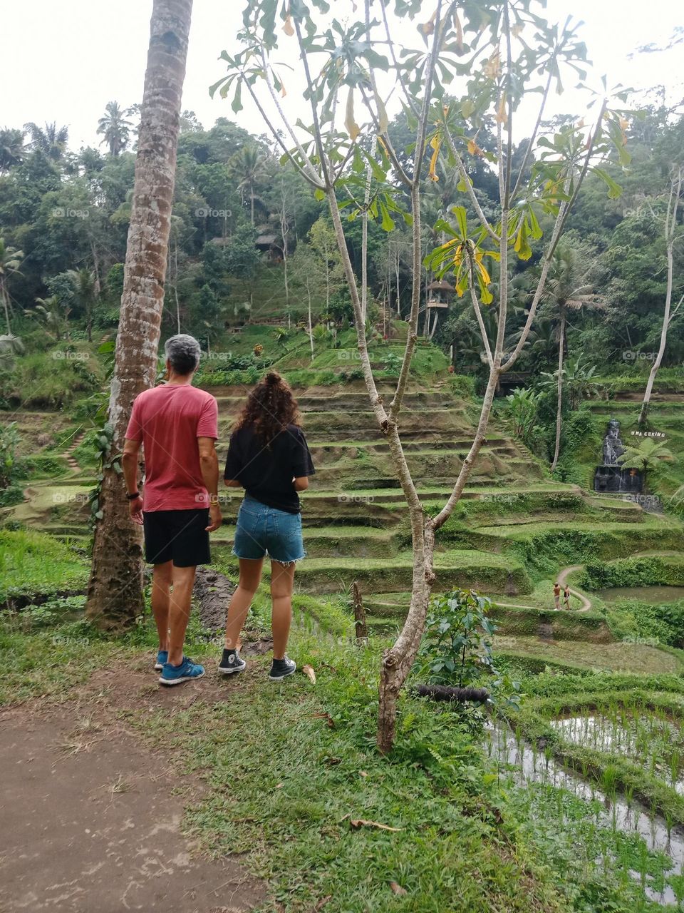 looking at rice paddies in Bali