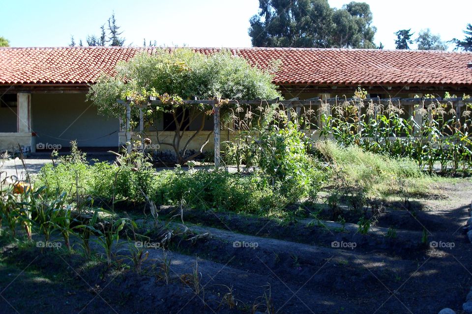 mission garden