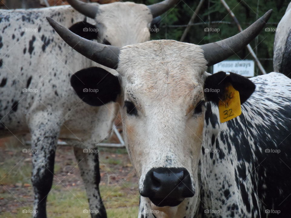 " who are you looking at!"