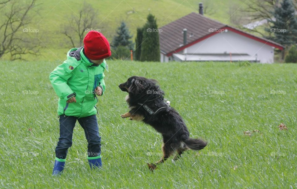 Kid playing with dog. Kid playing with dog