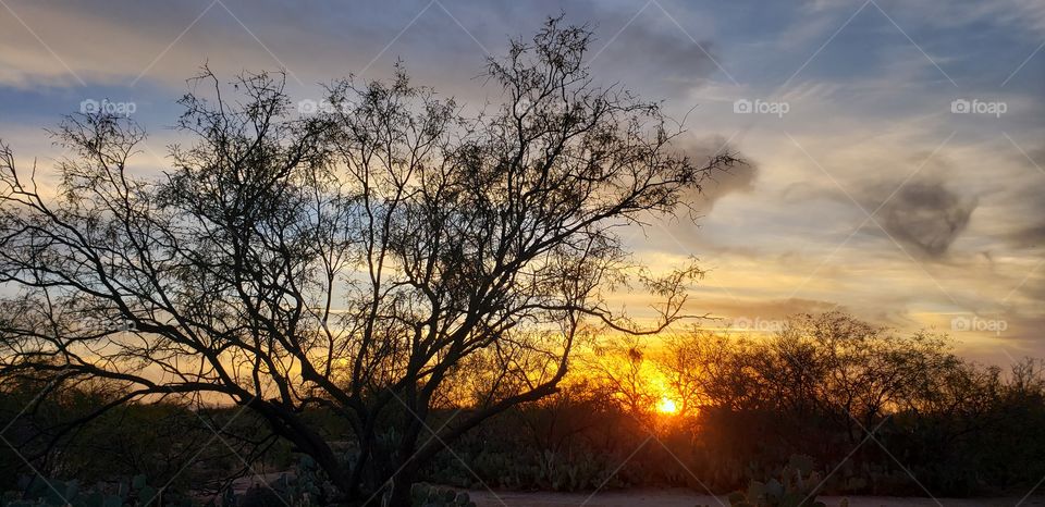 sunset in the desert