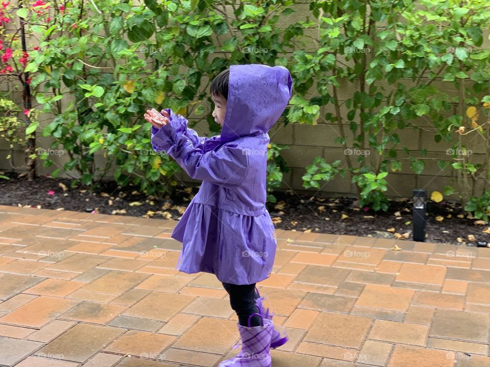 Little girl in a raincoat on her tiptoes trying catch raindrops in her hands. 