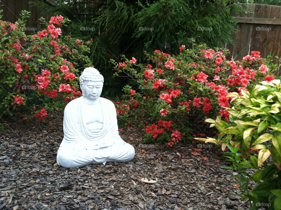 flowers garden flower buddha by spiffysavannah