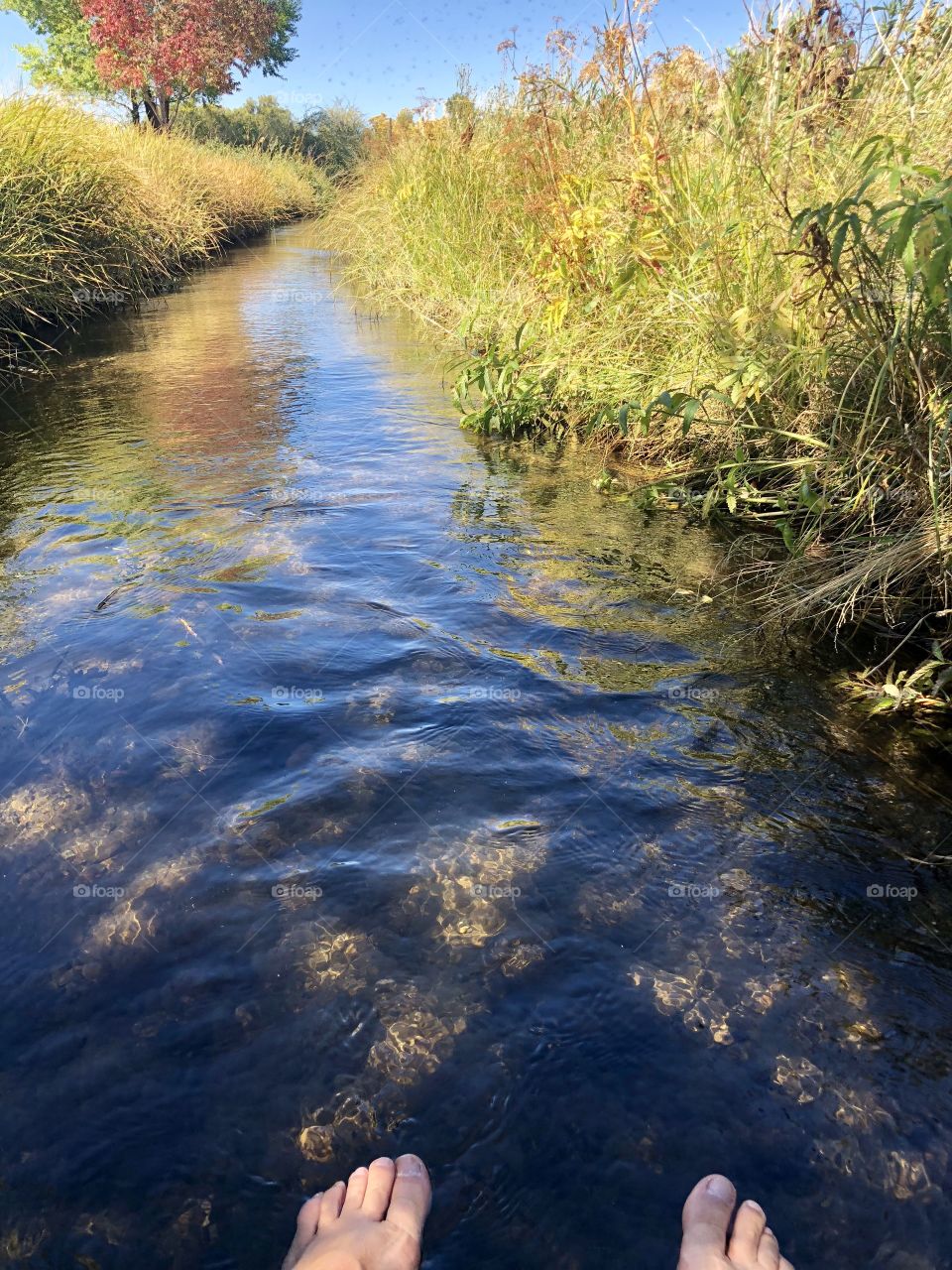 Water, stream, fall, nature 