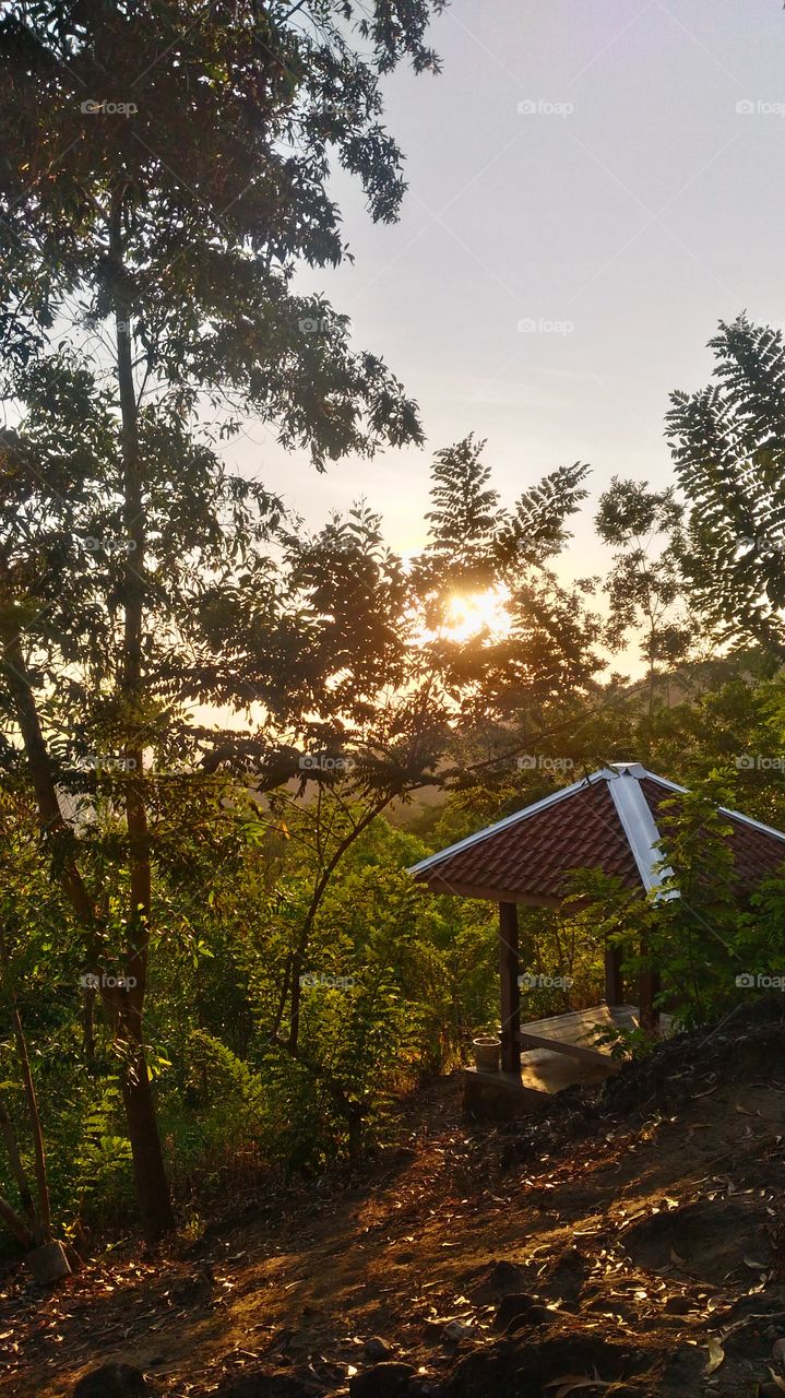 Gazebo under sun