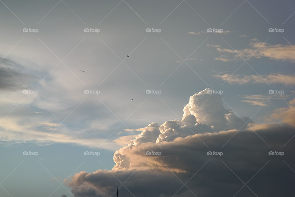 Sky