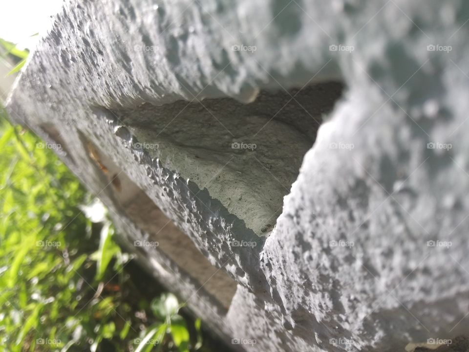 A bugs perspective in our every day world.