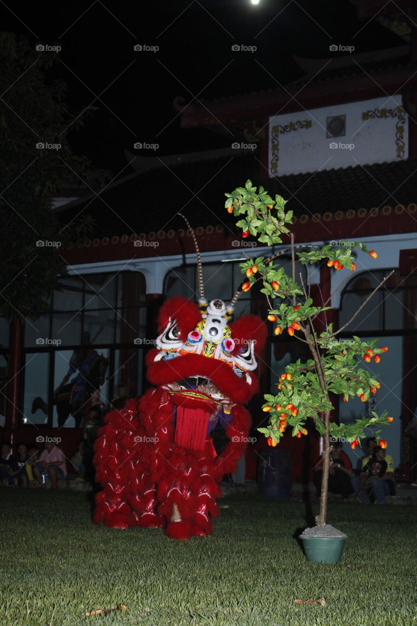 red lion dance in action