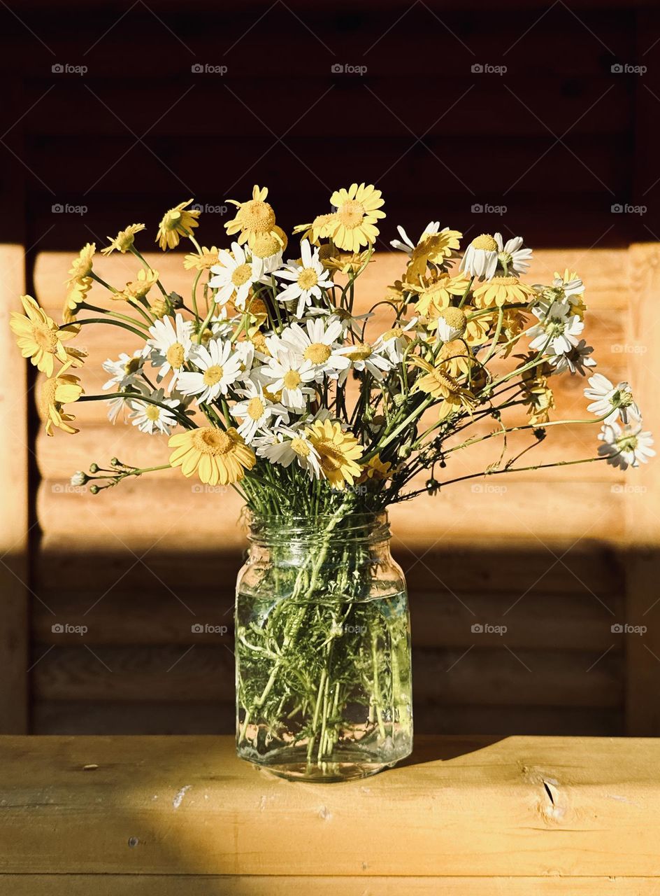 yellow and white daisies in a jar of water in the sun