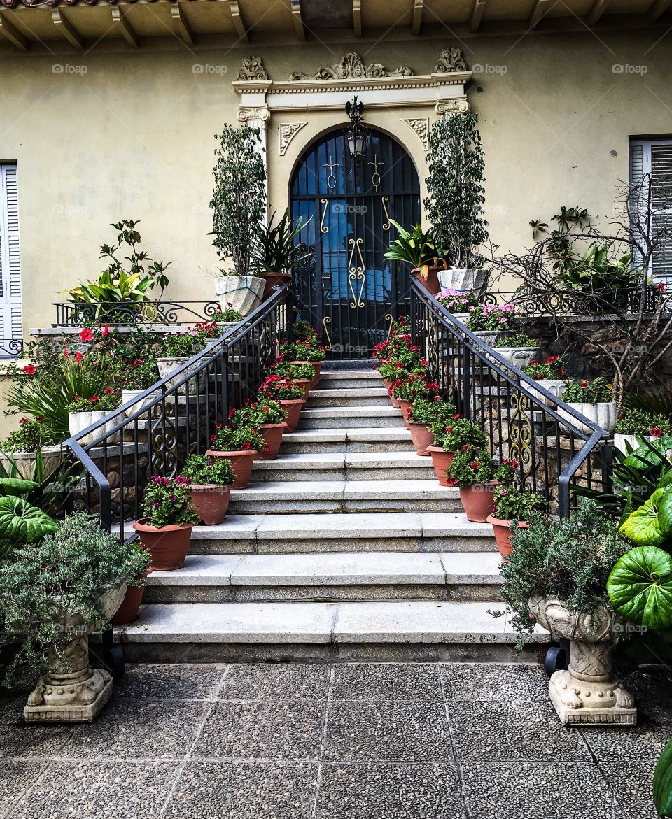 Step, Flower, Garden, Architecture, House