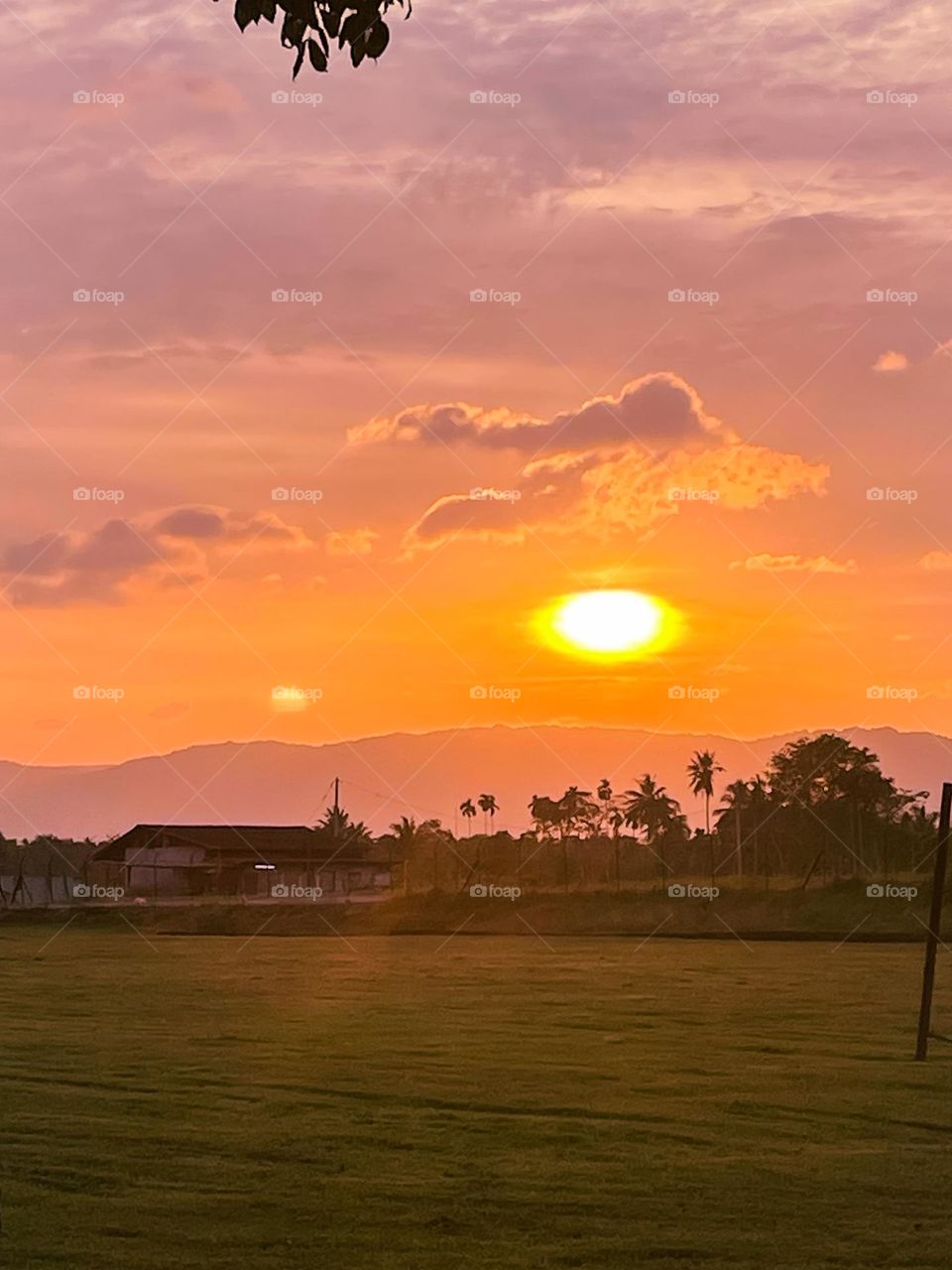 Sunset with pinkish skies. Panoramic view of pinkish sunset