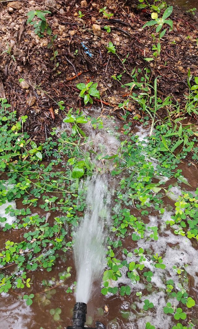 water