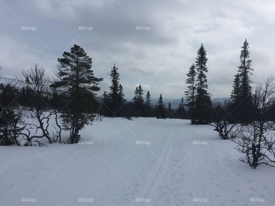 Eastern in Björnrike Sweden 