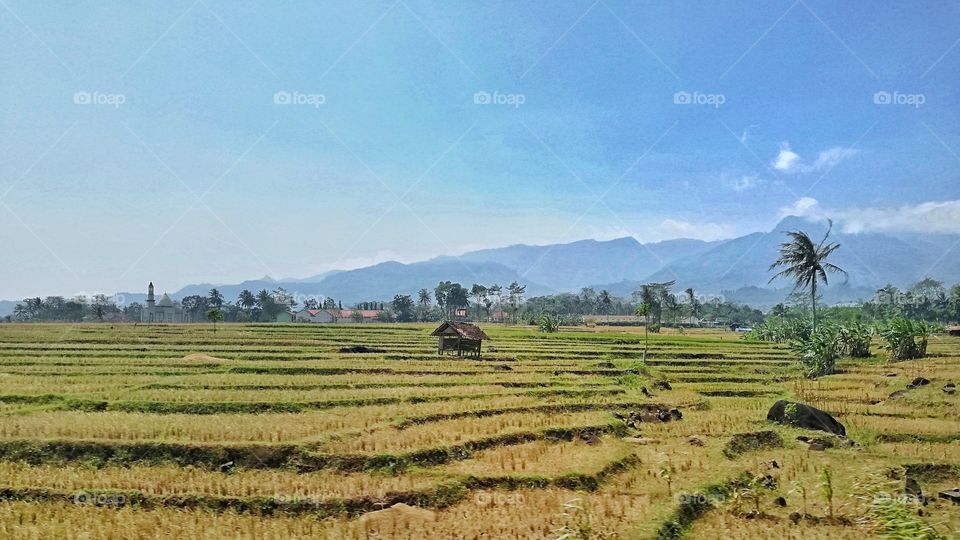 picture was taken from the inside of moving train