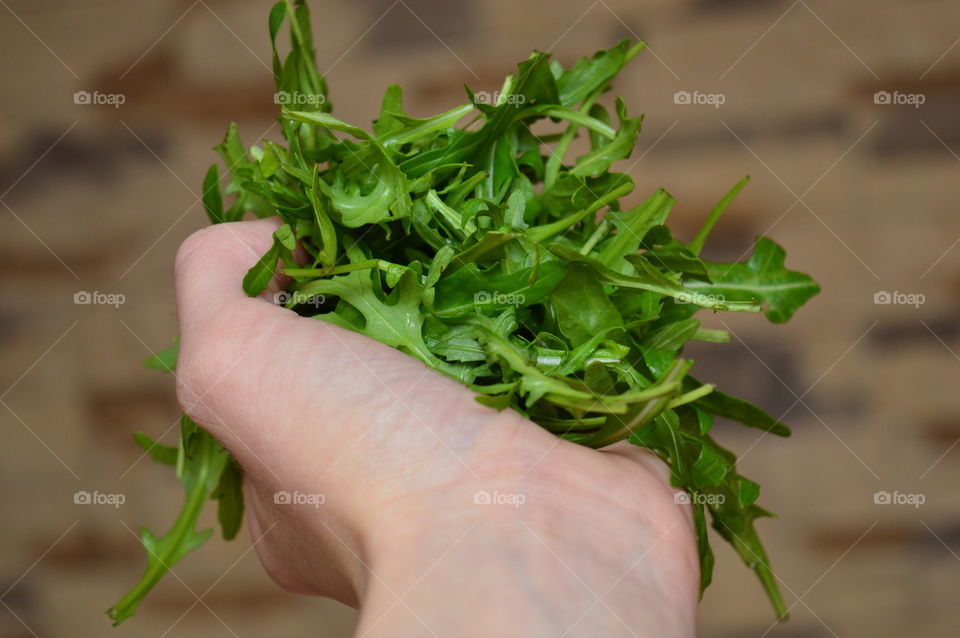 Holding food-  arugula