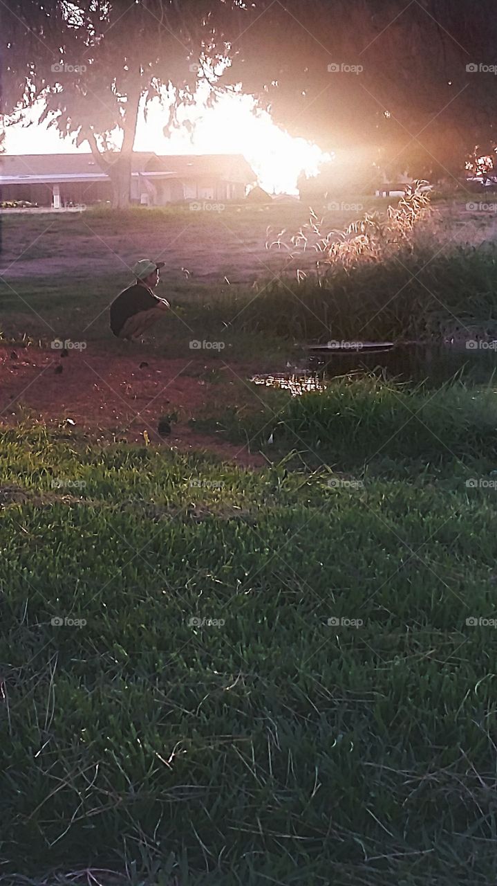 field of dreams. my son watching ducks in a golf course pond