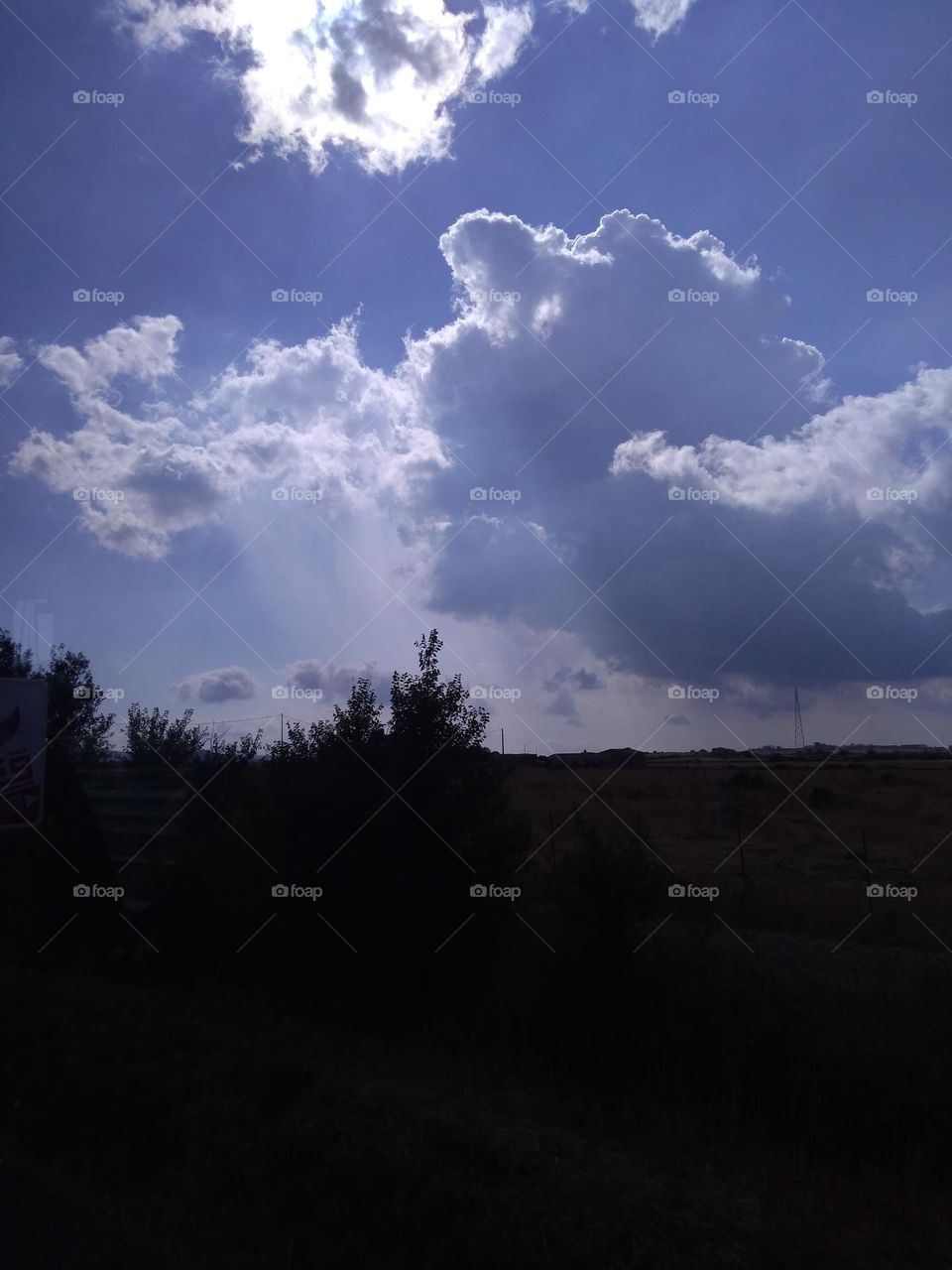 Editors' Choice - Photo of the Week