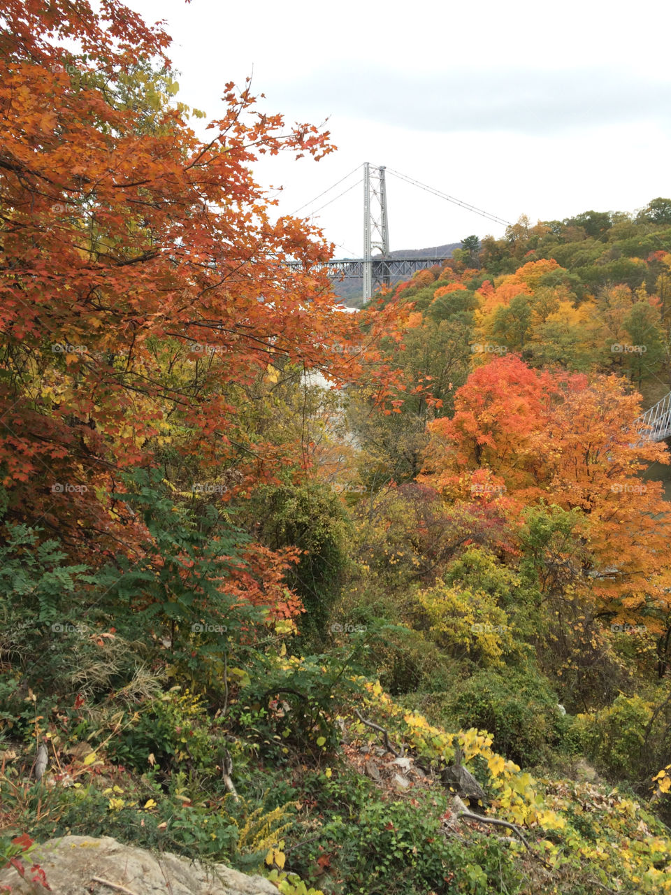 Fall hike, Bear Mountain Bridge, New York