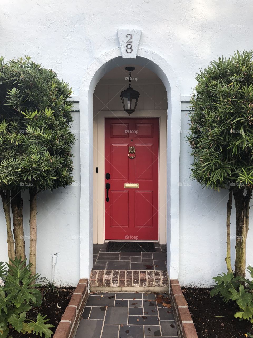 Red door symmetry 