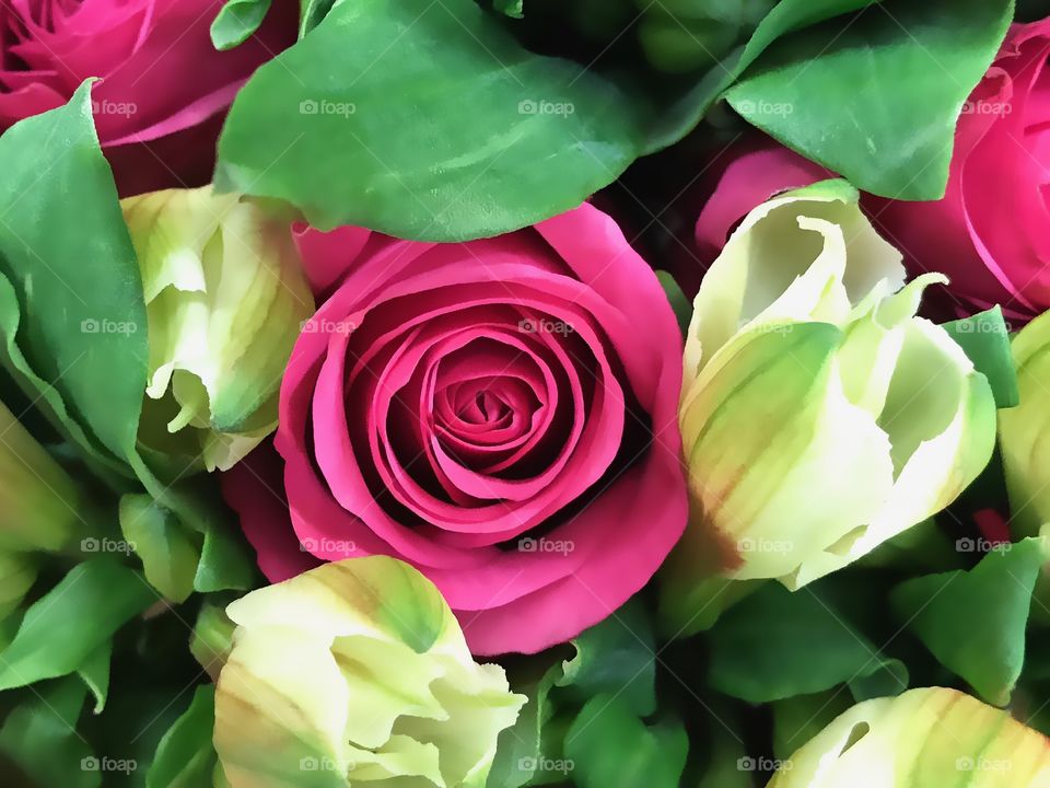 Pink rose bouquet.