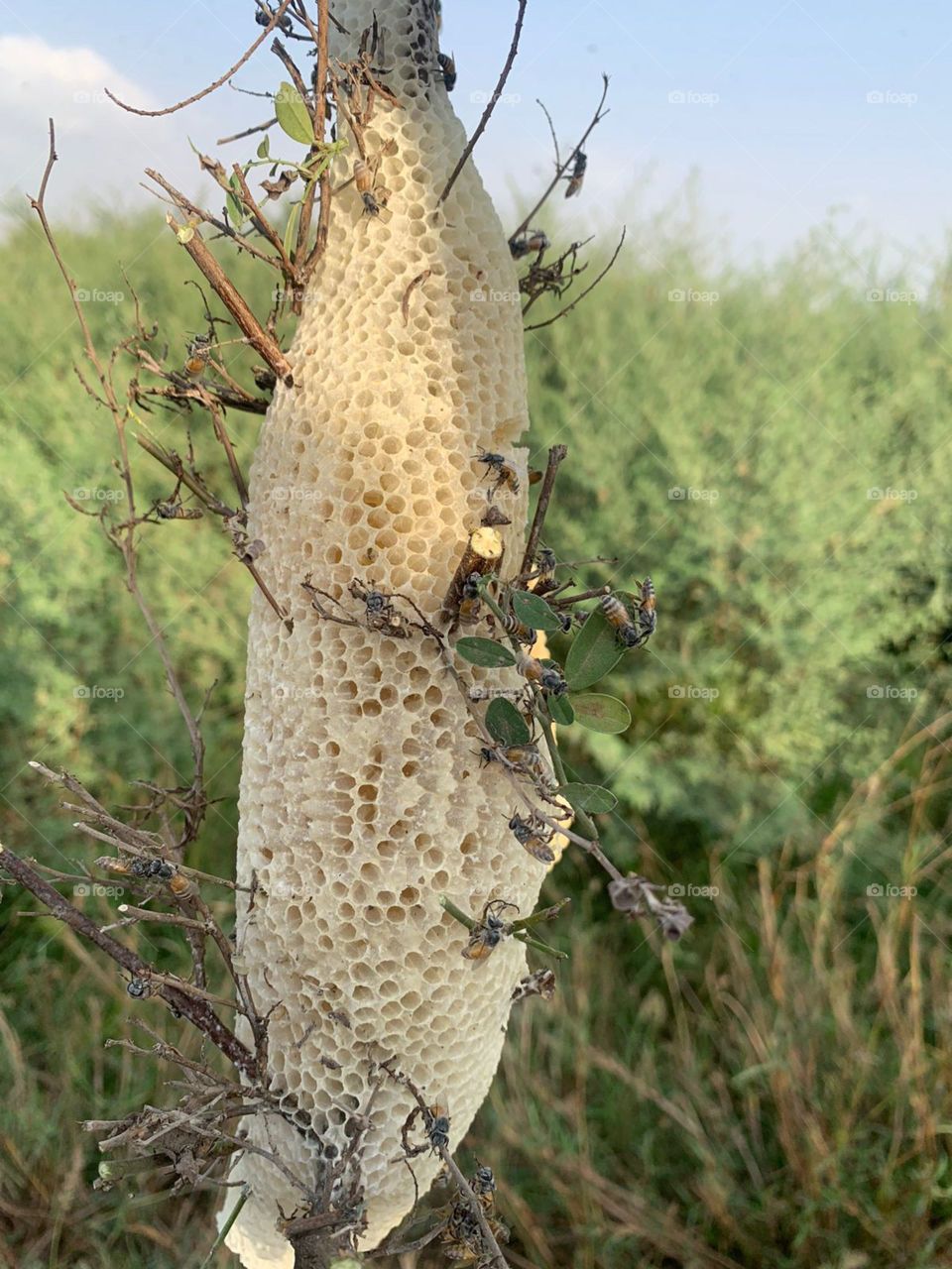 am poor. I want your support. Stop it