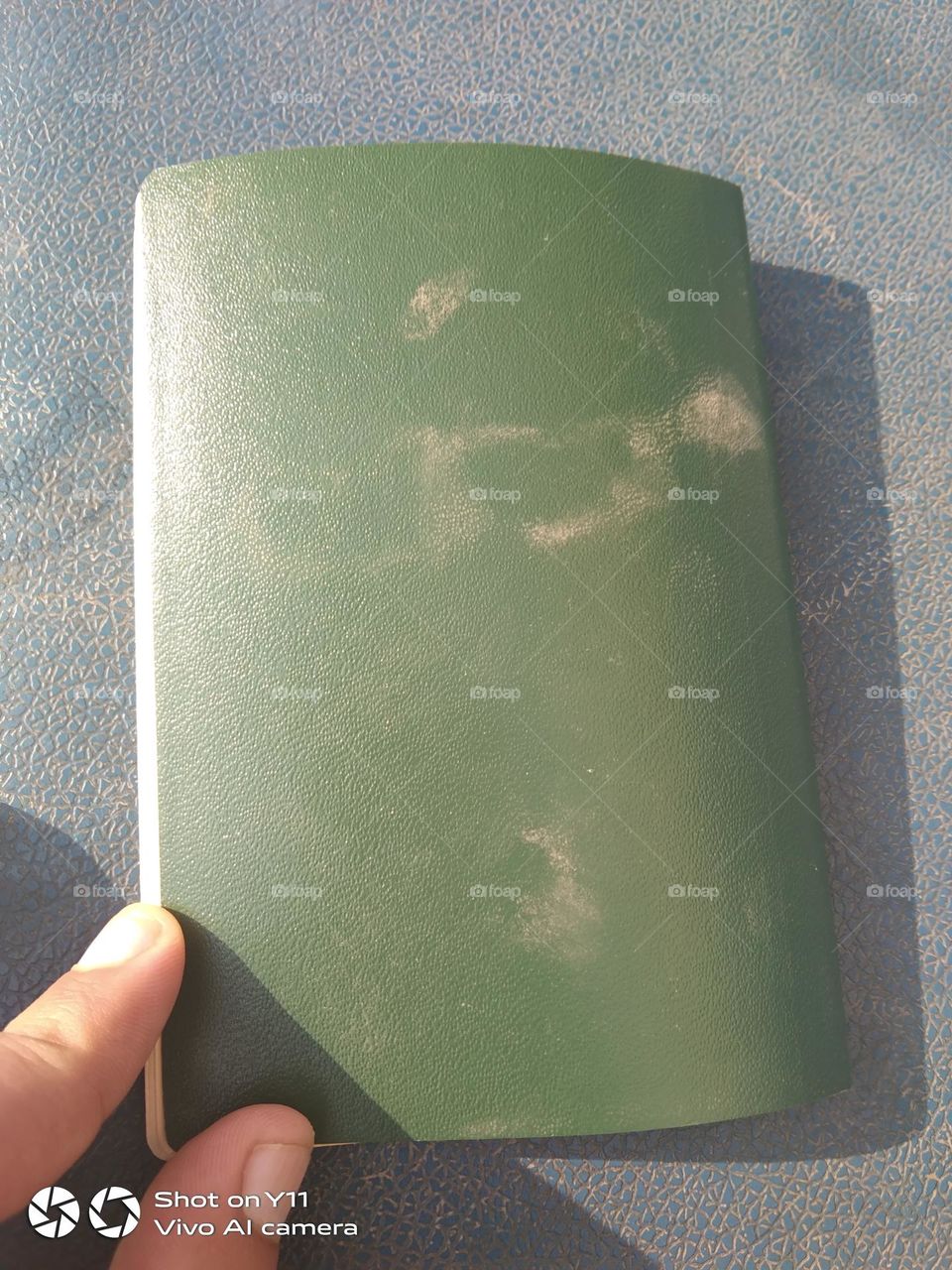 invalid passport....