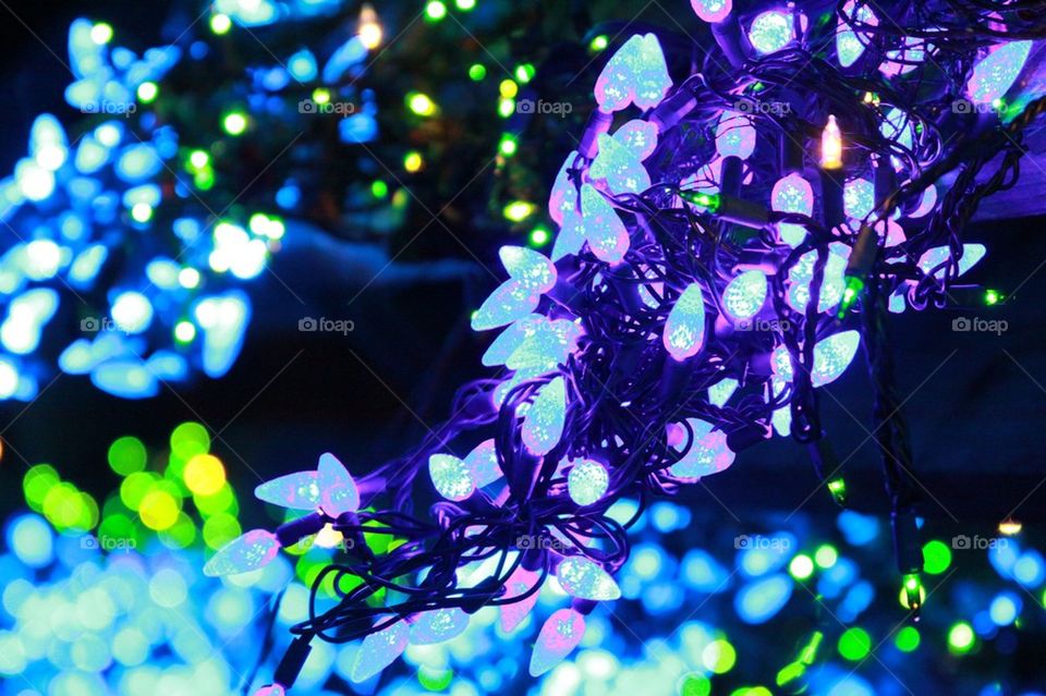 Grape Bunch Lights
