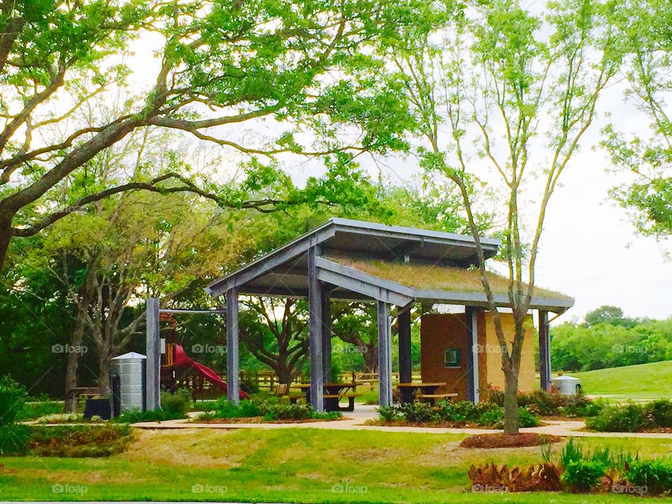 Green roof and park . Using roofs to collect water and to plant flowers. 