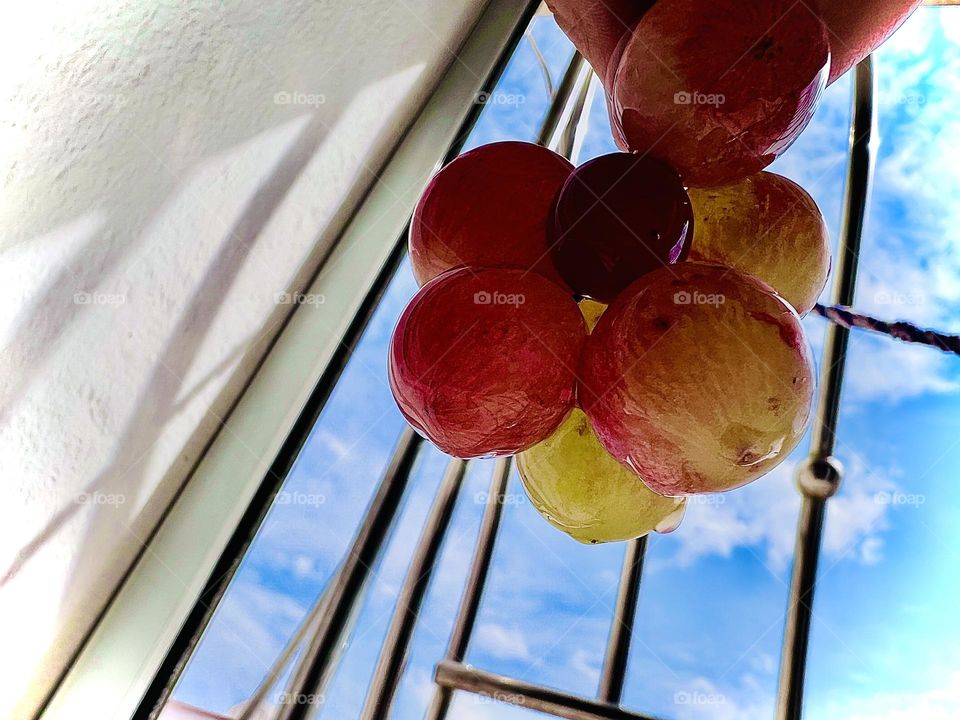 The beauty and clarity of the sky shows us the beauty of grapes with its details