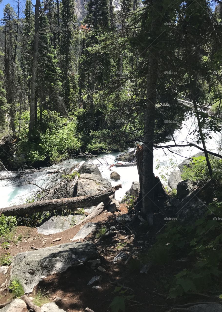 Right in the middle of nature