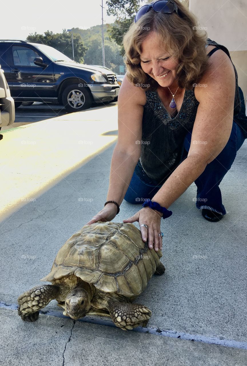 This beautiful and heavy tortoise, Scooter, lit up my day when I happened upon him outside a vet clinic. Tortoises can live to be around 50 to 100 years old, with some on record as having lived well over 200 years. Go Scooter!