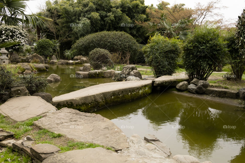 Japanese garden