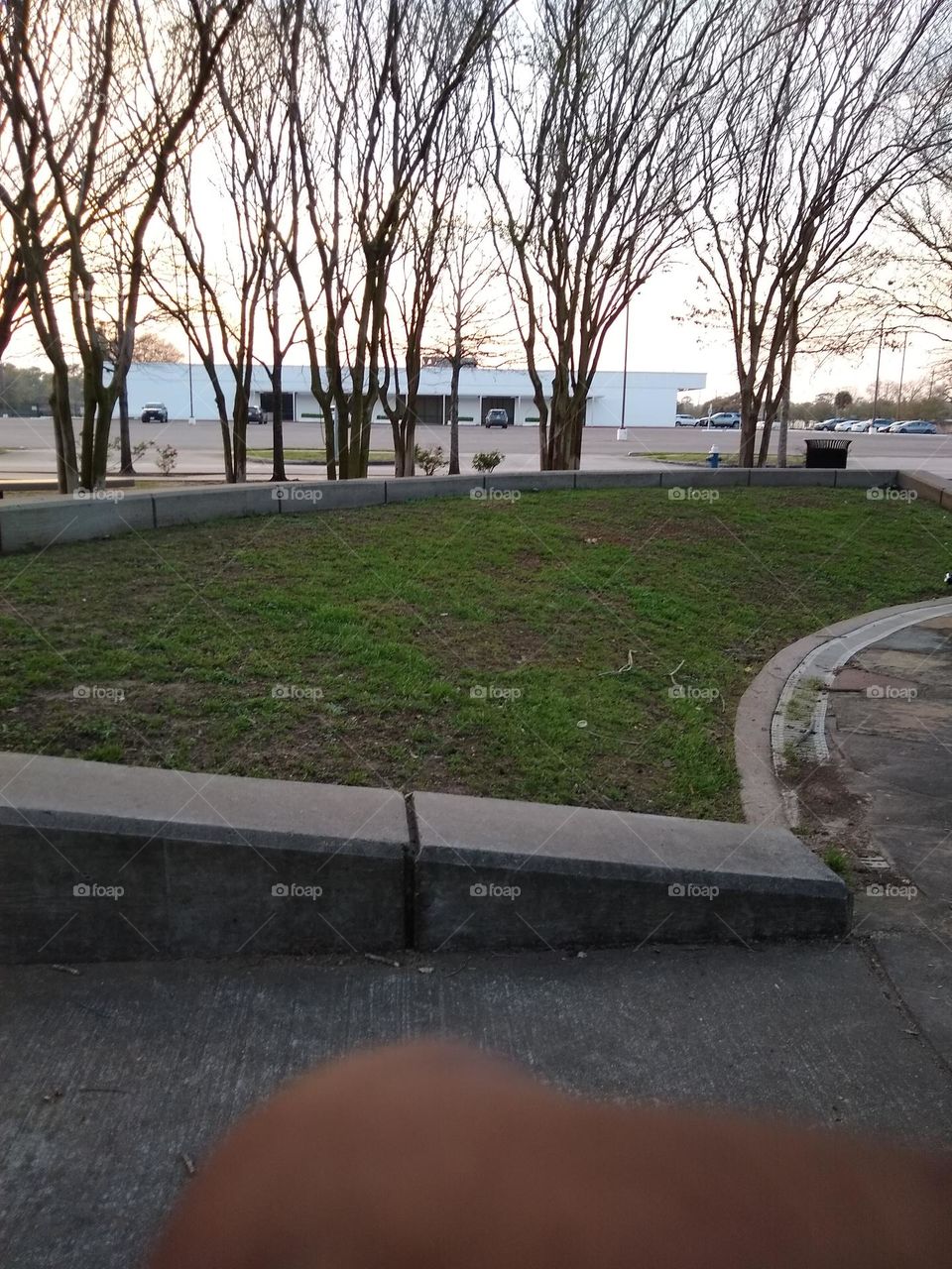 More park landscaping pictures I took while out.