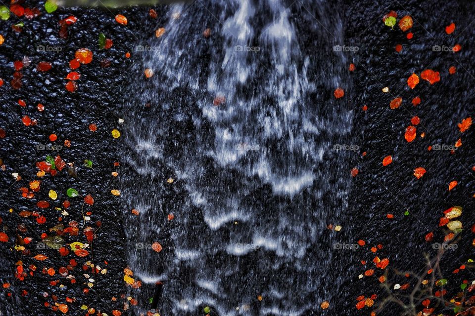 Water in fall