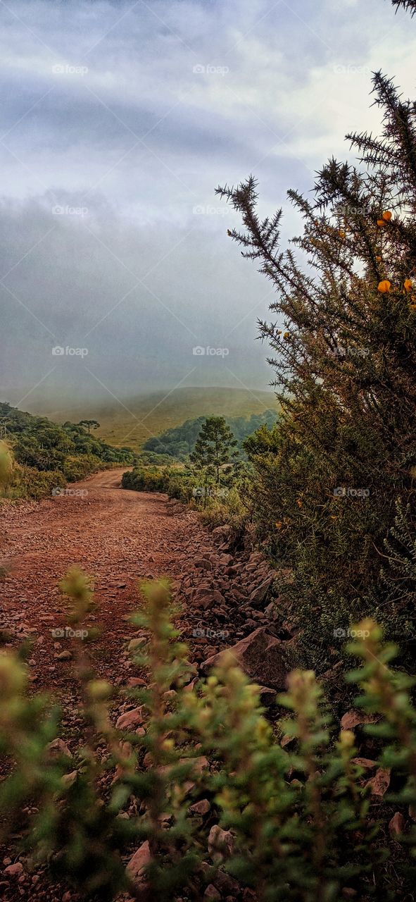 Mountain road landscape