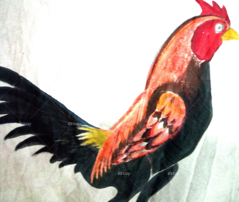 Rooster Art