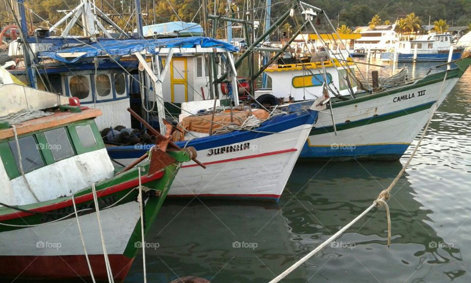 Vários barcos de pesca e turismo.