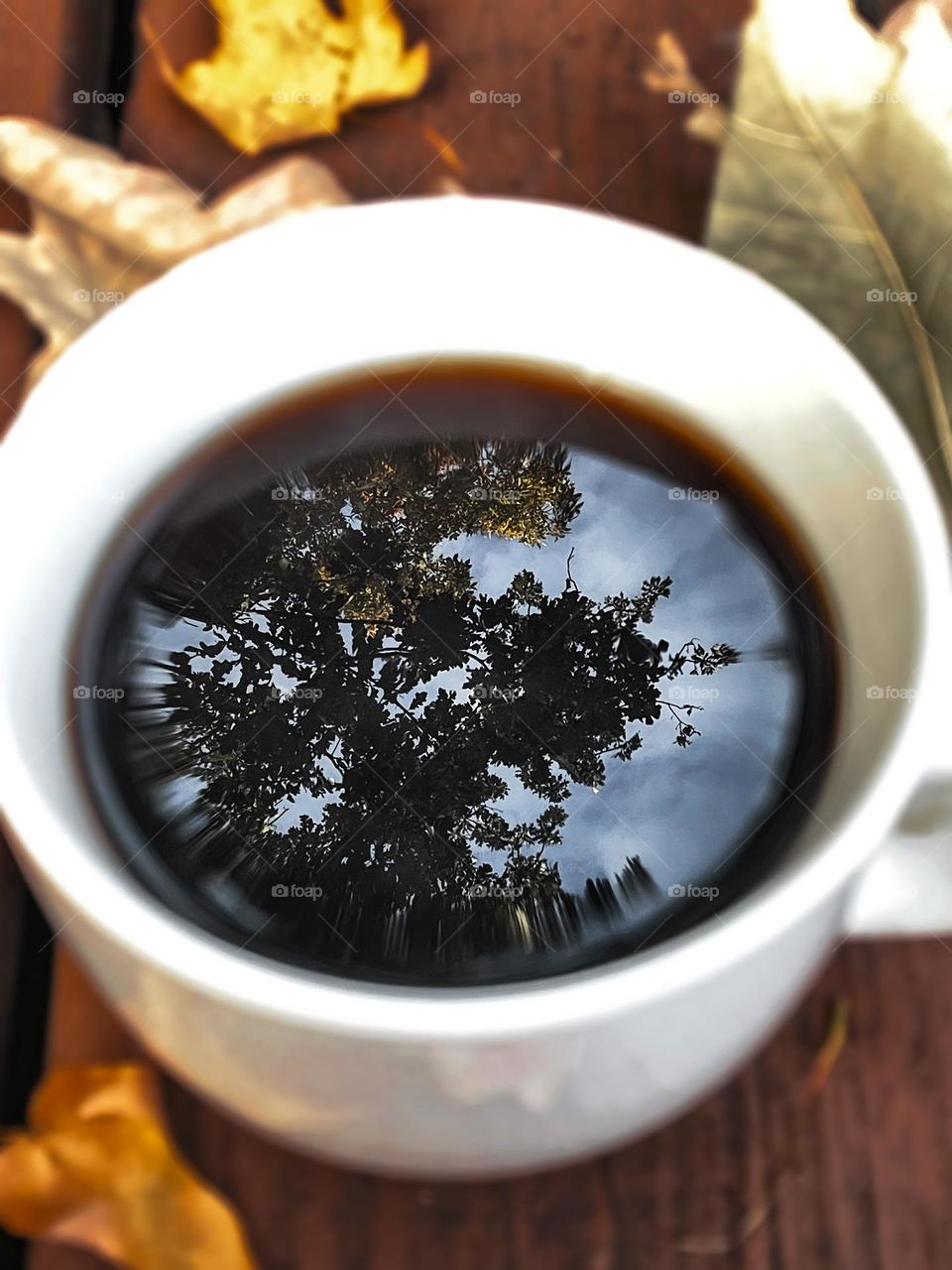 Phone photography amateur fall leaves autumn coffee cup reflection water liquid outdoors rustic nature tree deck wood outside Colors leafs