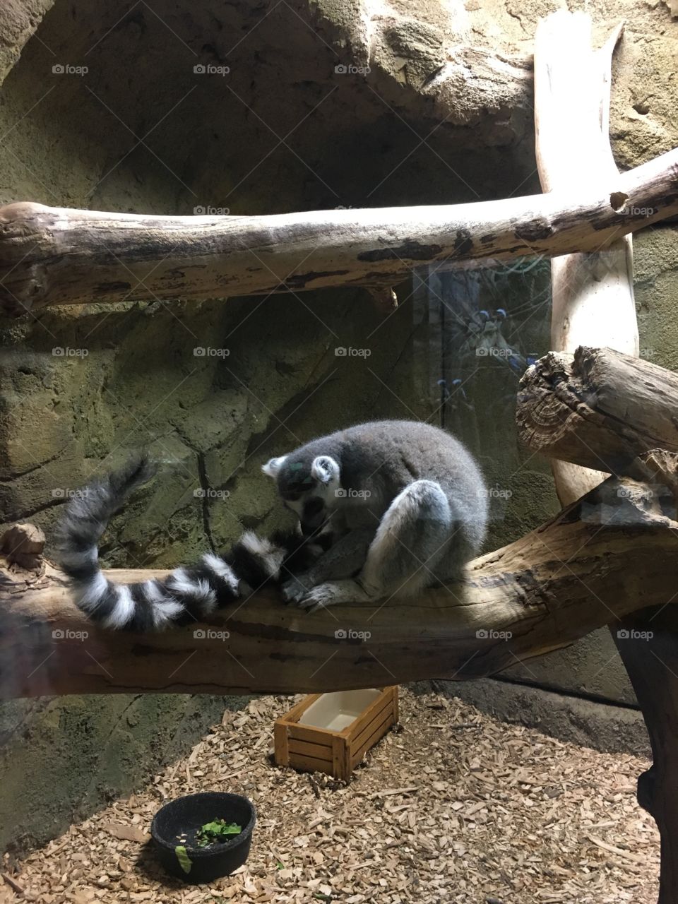 Time for a bath! Lol