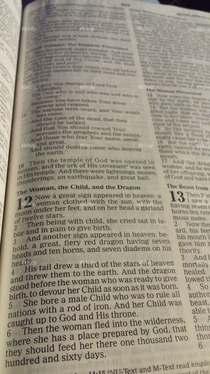 Scripture, Book, Testament, Poetry, Text