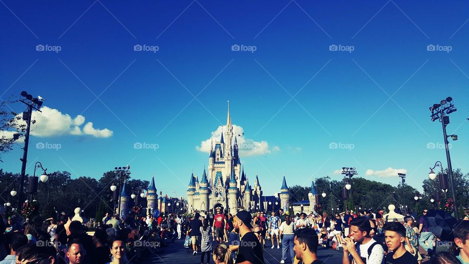 Disneyland adventure