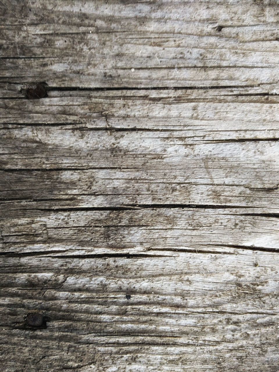 wood texture